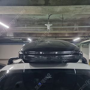 하프로8.5 루프박스팝니다