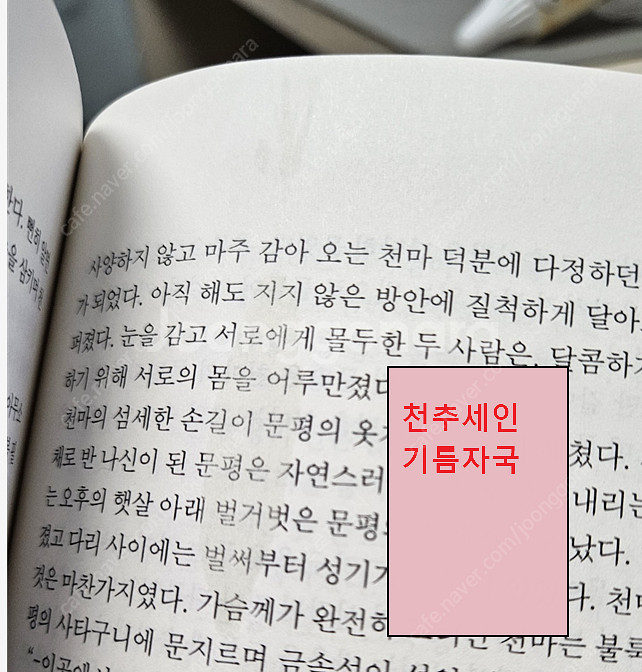 유우지,스탠 나타샤, 타란튤라님 ,천추세인 15권 택비...--1