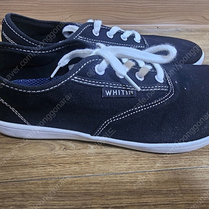 WHITIN 베어풋 캐쥬얼 캔버스 슈즈 신발 255사이즈 블랙 색상 처분합니다