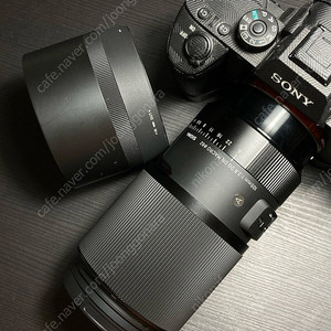 시그마 105mm f2.8 dg dn 마크로렌즈