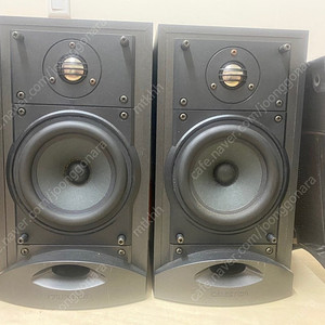셀레스천 cs4 스피커