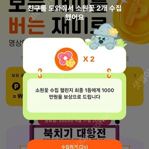 틱톡라이트 소원꽃