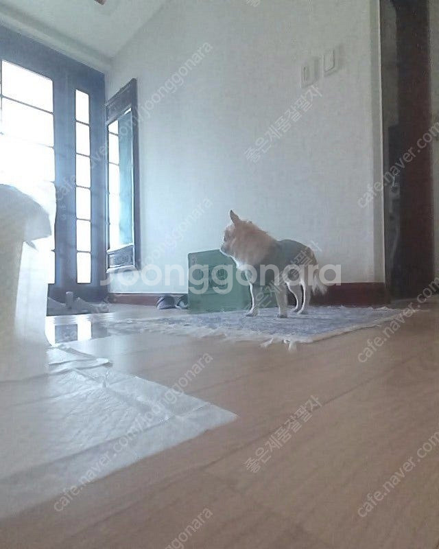 삼성 ai 로봇 청소기 제트봇(홈캠 가능)--4