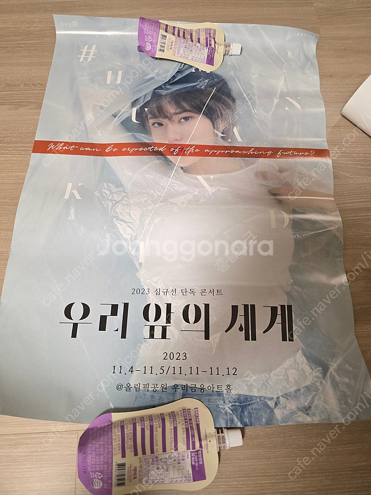 심규선 콘서트 포스터 + 몸과마음 cd pink--0