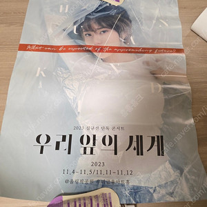 심규선 콘서트 포스터 + 몸과마음 cd pink
