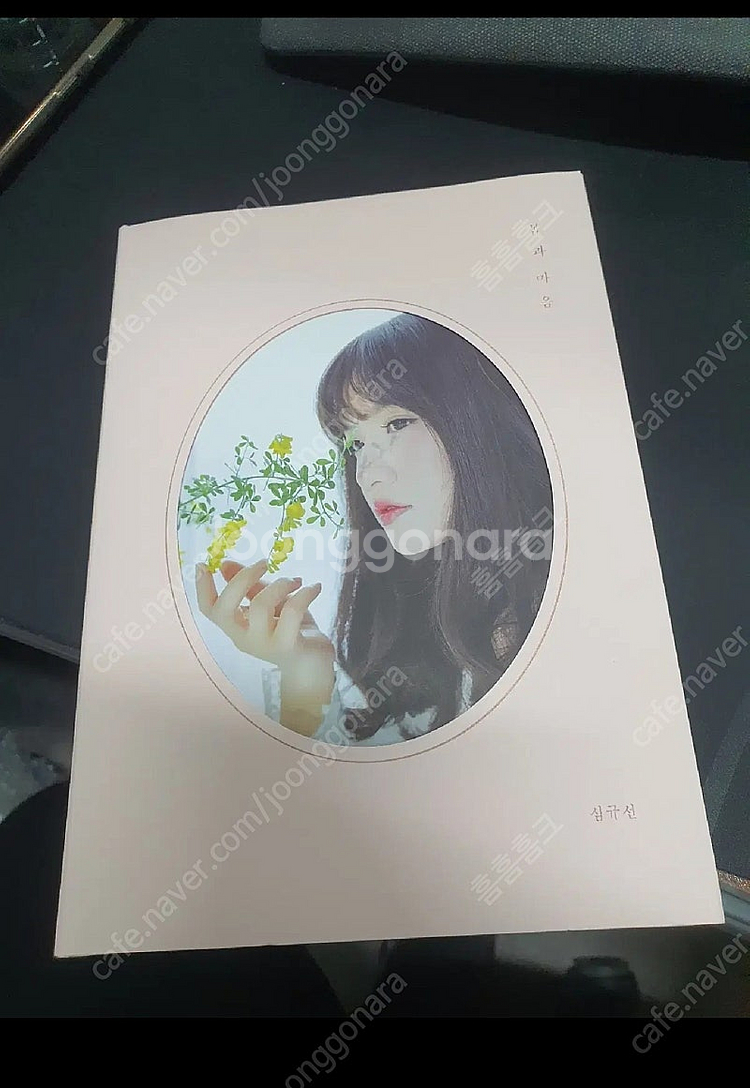 심규선 콘서트 포스터 + 몸과마음 cd pink--1