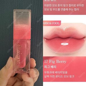 데이지크 쥬시듀이 틴트 17 피그베리