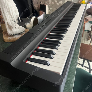 야마하p125b
