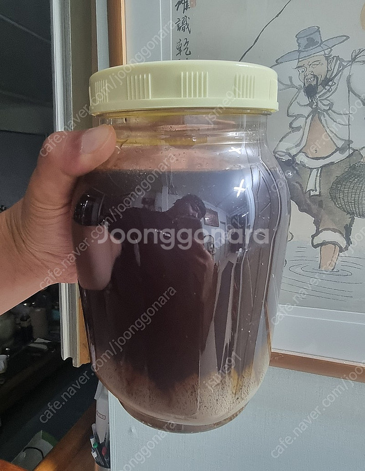 석청꿀 2.4L 한병 15만원--0