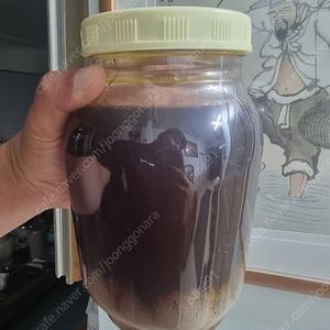 석청꿀 2.4L 한병 15만원