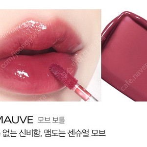 삐아 글로우 립 틴트 03 모브 보틀 봄웜 여쿨 갈웜 겨쿨 뮤트