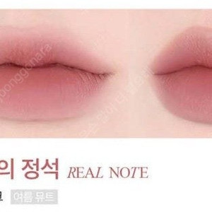 삐아 라스트 벨벳 틴트 V21 다큐의 정석 봄웜 여쿨 갈웜 겨쿨 뮤트