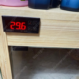 비어디 드레곤 성채 원목 사육장 일괄 판매합니다