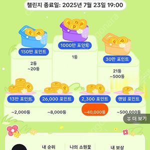 틱톡 소원꽃팔아요