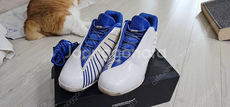 Adidas T-Mac3 (255mm) / Adidas...--0