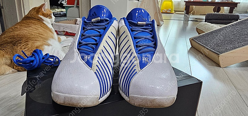 Adidas T-Mac3 (255mm) / Adidas...--3