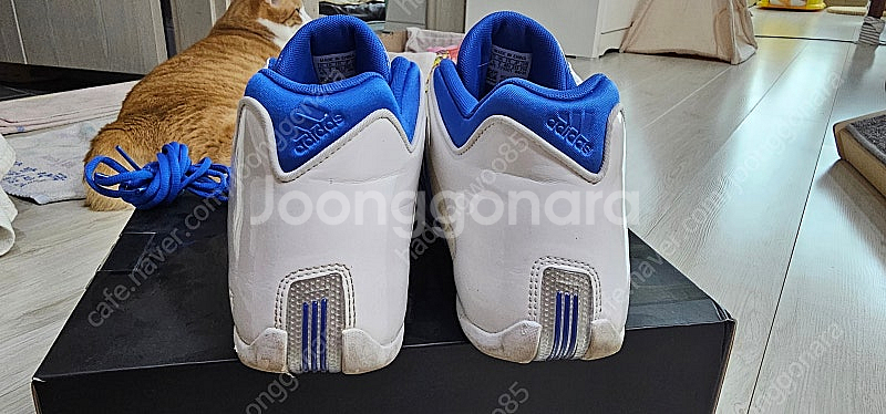Adidas T-Mac3 (255mm) / Adidas...--4