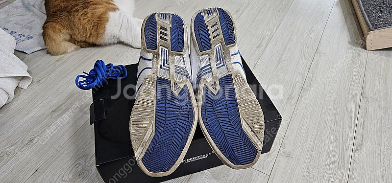 Adidas T-Mac3 (255mm) / Adidas...--5