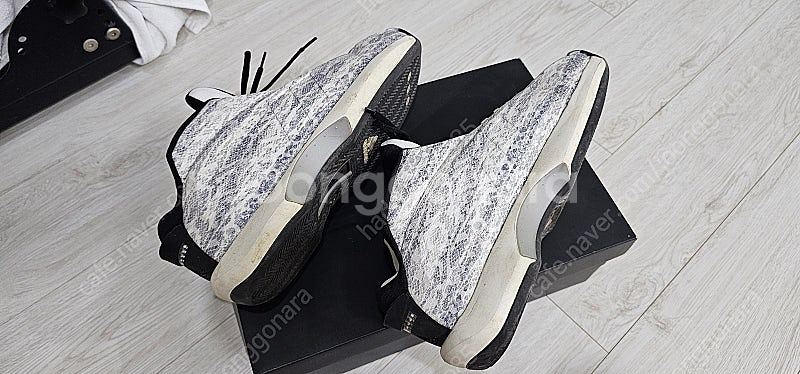 Adidas T-Mac3 (255mm) / Adidas...--9
