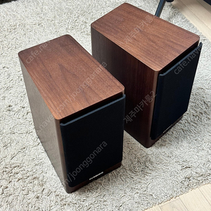 다인오디오 이보크 20 (dynaudio evoke 20)