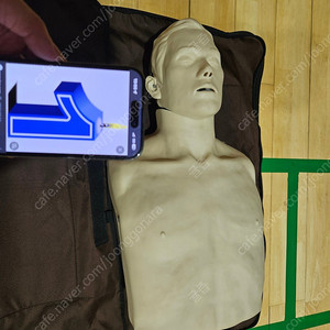 심폐소생술 애니 CPR 마네킹 판매중 태양 브레이든