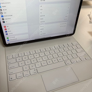 아이패드프로(3rd)12.9 wifi 256GB 스그(40만)