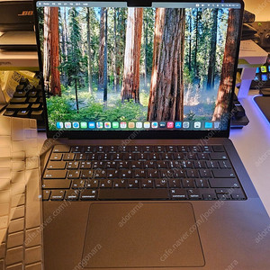 풀박 맥북 프로 m4 pro 24g 1tb 14코어 고급형 14인치 판매