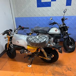 23년식 몽키125 노랑 0키로 무주행 신차