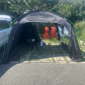 고투 루이지쉘터팝니다