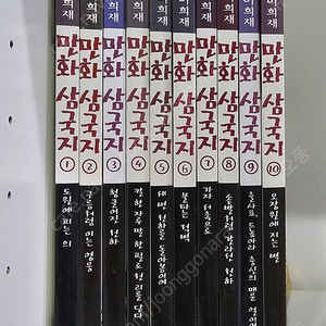 이문열 삼국지 10권
