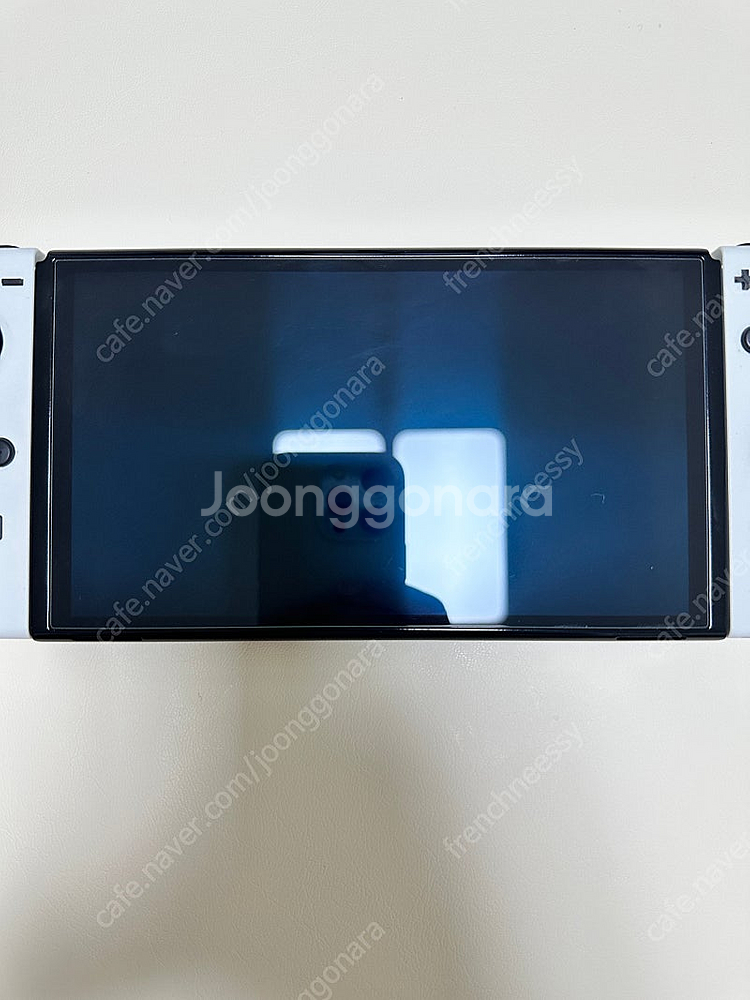 닌텐도 OLED--2