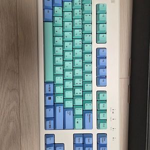 리얼포스 R3BT APC 30g 민트 블루 유/무선 토프레 무접점 키보드 팝니다