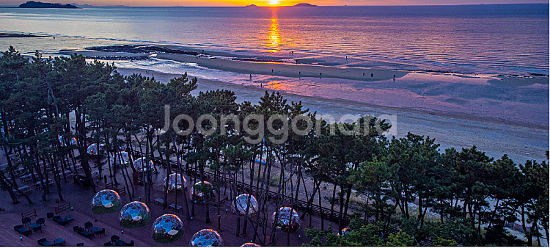 안면도 리솜리조트 25평형 7월 휴가철 양도 합니다. (7월 27일~29일) 2박3일--1