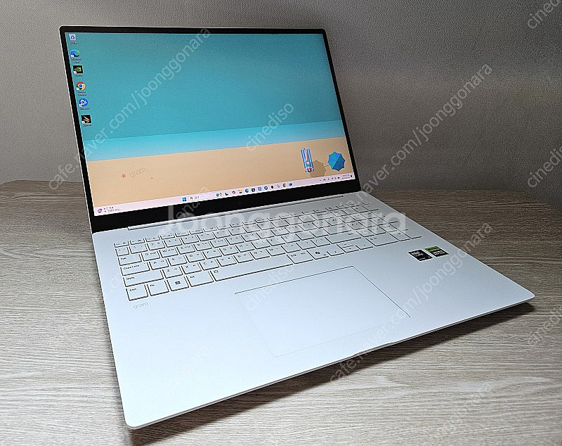 LG 그램 프로 17 (17ZD90TR-SX59K / ...--0