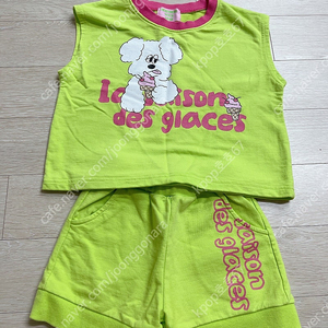 베베베베 강아지상하복 s