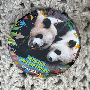 에버랜드 루이후이 생일뱃지