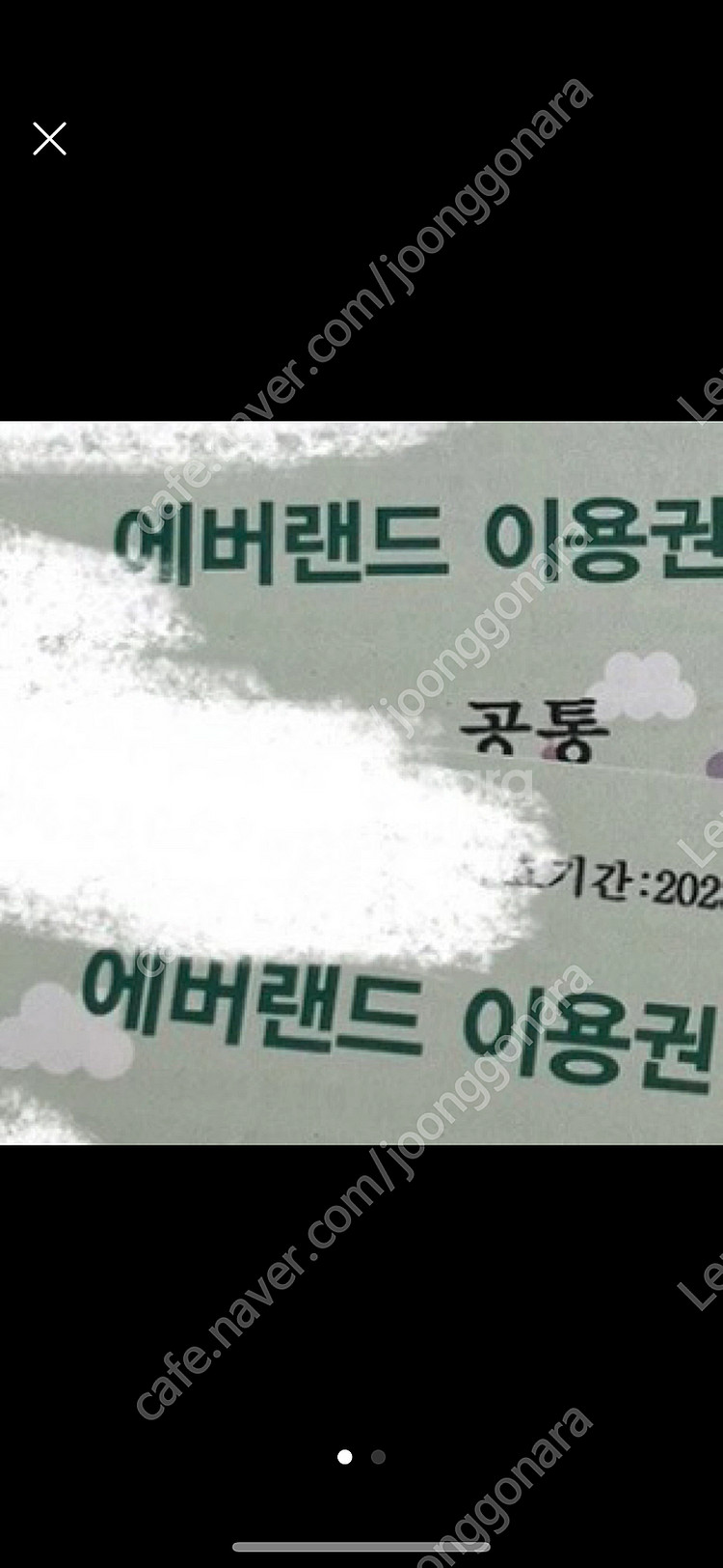 에버랜드 자유이용권--0