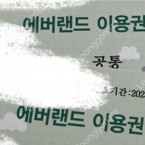 에버랜드 자유이용권