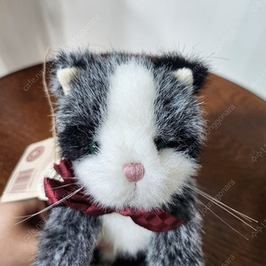 보이즈베어 레어 희귀 미묘 회색 고양이 키덜트 빈티지 인형