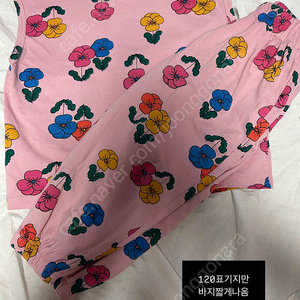 9호위주 (jm, js 1개씩)