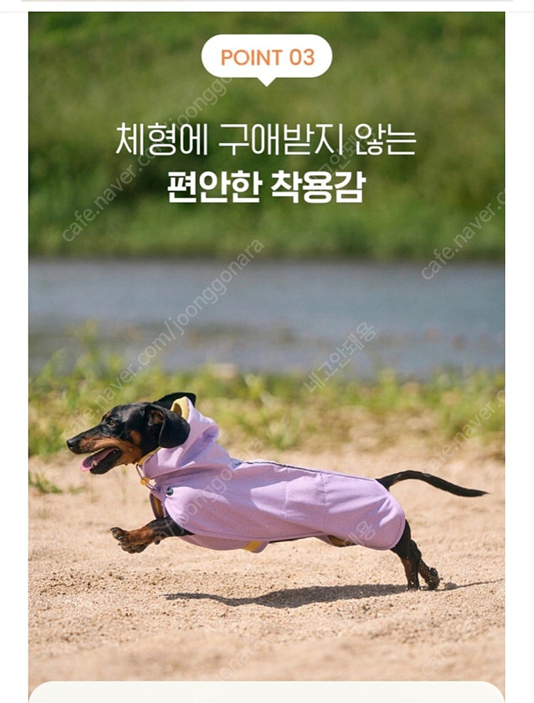 강아지 우비 바람막이 아르르 올웨더코트 이미지