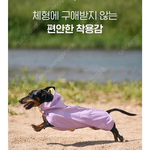 강아지 우비 바람막이 아르르 올웨더코트