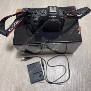 캐논 eos R8