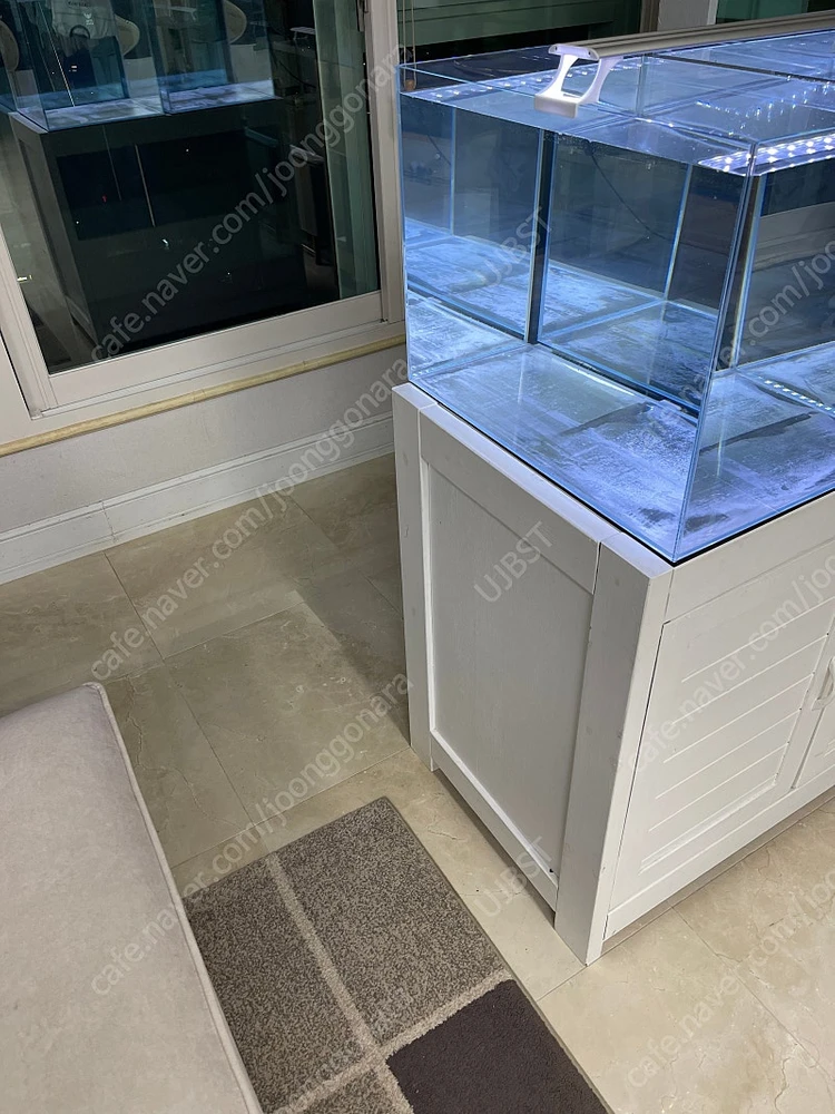 (경기 북부) 프리미엄 60큐브 올디아망 수조 6T 어항 원목 축양장 1000x600x900 3자 초광폭 받침대 세... 이미지