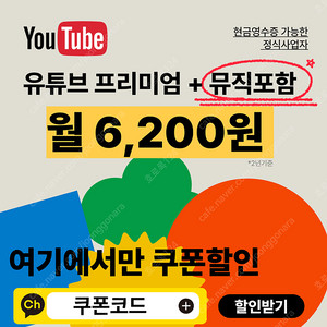 유튜브 프리미엄 싸게 구독 가족x 개인플랜 1개월 1년 2년