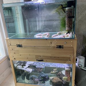 (경기 북부) 우파루파, 테라핀 키우기 프리미엄 ADA 3자 광폭 수조 90x45x45 8T 어항 뚜껑 세트 판매 (개별 가능)