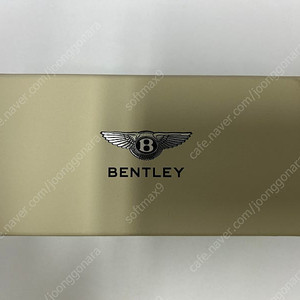 벤틀리 USB 32G 팝니다.