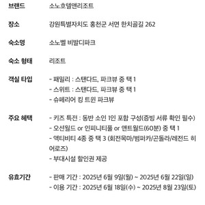 소노벨 비발디파크 3인 7월21일 1박2일