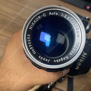 니콘 F 블랙 + 135mm 해바라기