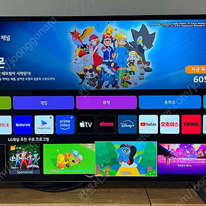 LG 올레드 evo 4K/120Hz TV 42인치